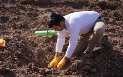 Grandes empresas confían en bosques con sello soriano para luchar contra el cambio climático