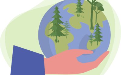 Referente nacional en la creación de Bosques Sostenibles